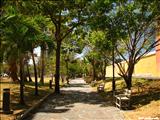 Luis Muñoz Rivera Park - SAN JUAN